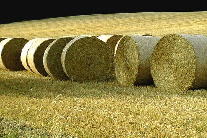 Moznosti zefektivnenia rozkladu slamy a vytvorenia vhodnych zivinovych podmienok pre nasledne plodiny