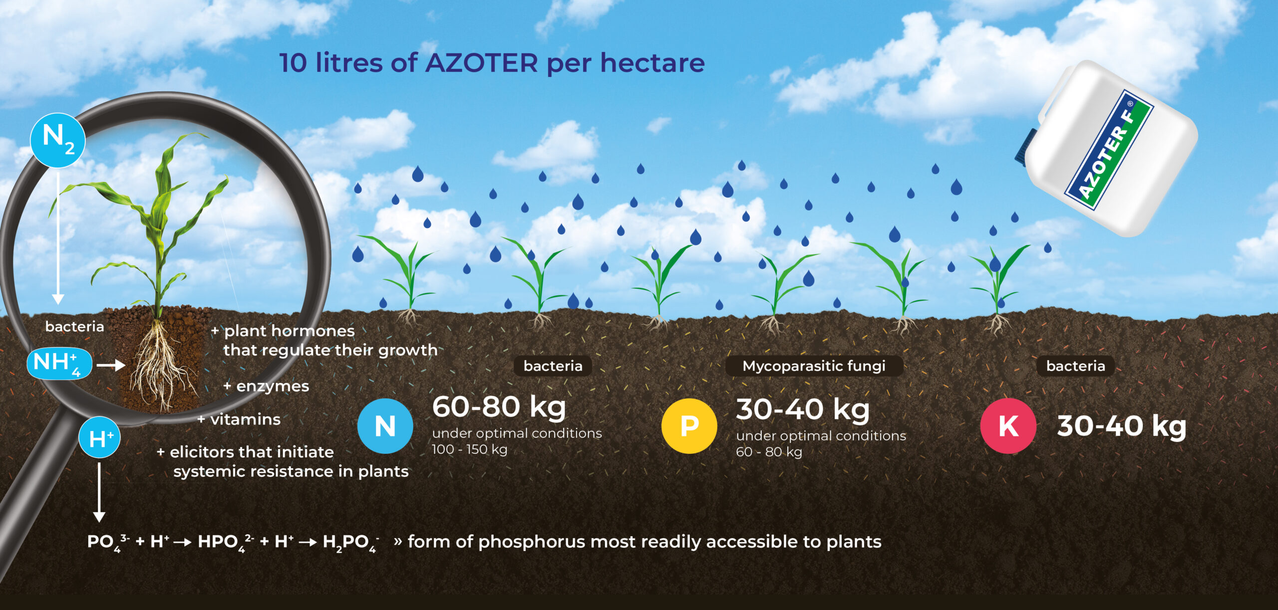 obr_poda_EN obr poda EN